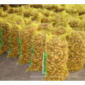 Ginger Wholesale Chinese High Quality Fresh Ginger Semi Air Dried Ginger